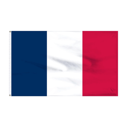 France World Cup National Flug [3.5 fit]_20154