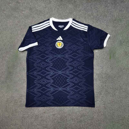 Scotland Honey comb Embroidary Football Jersey For Men_20605